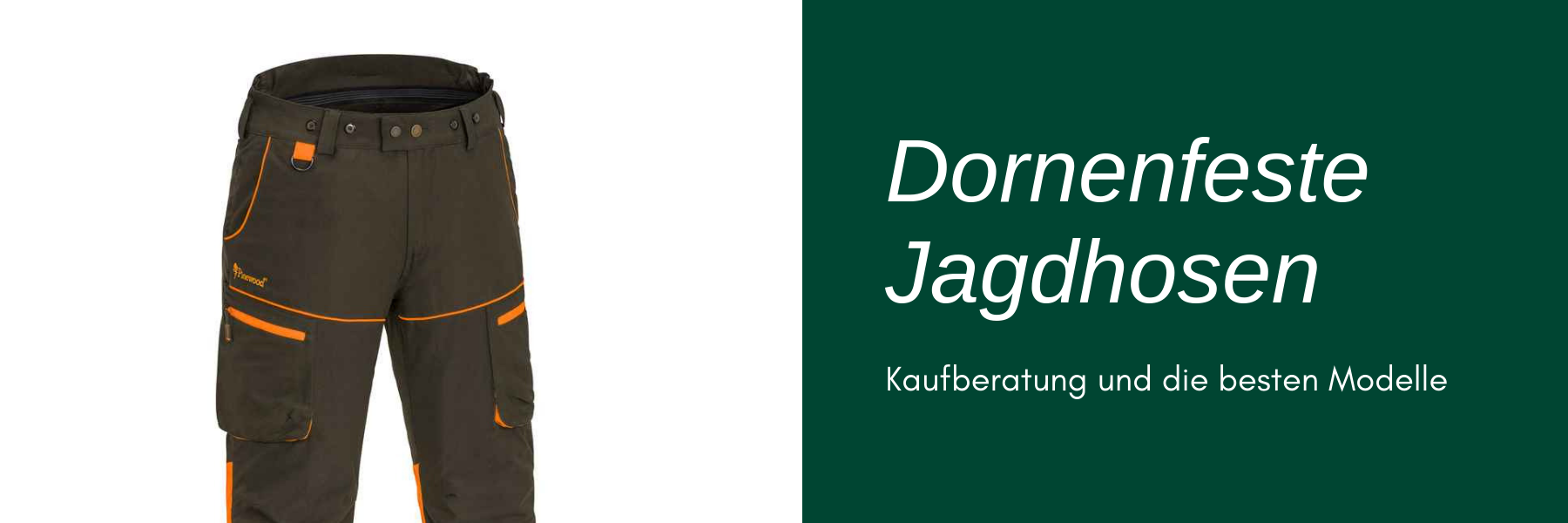 Jagdhose - dornenfest muss sie oft sein
