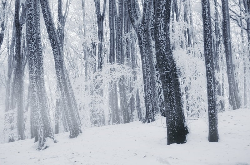 Ein Lodenmantel wird vor allem im kalten Winter gerne getragen