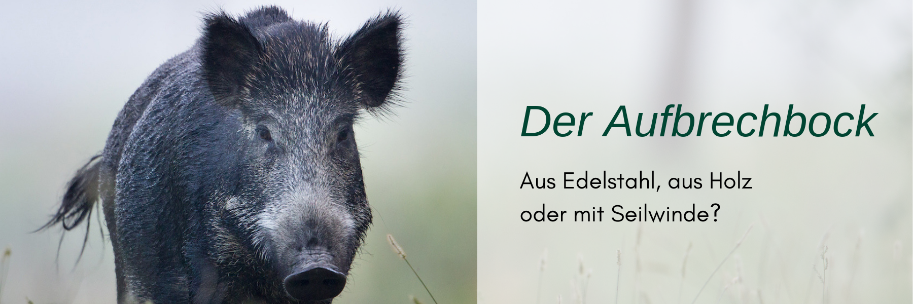 Aufbrechbock - Welcher ist der Richtige und warum beim Kauf zu achten ist