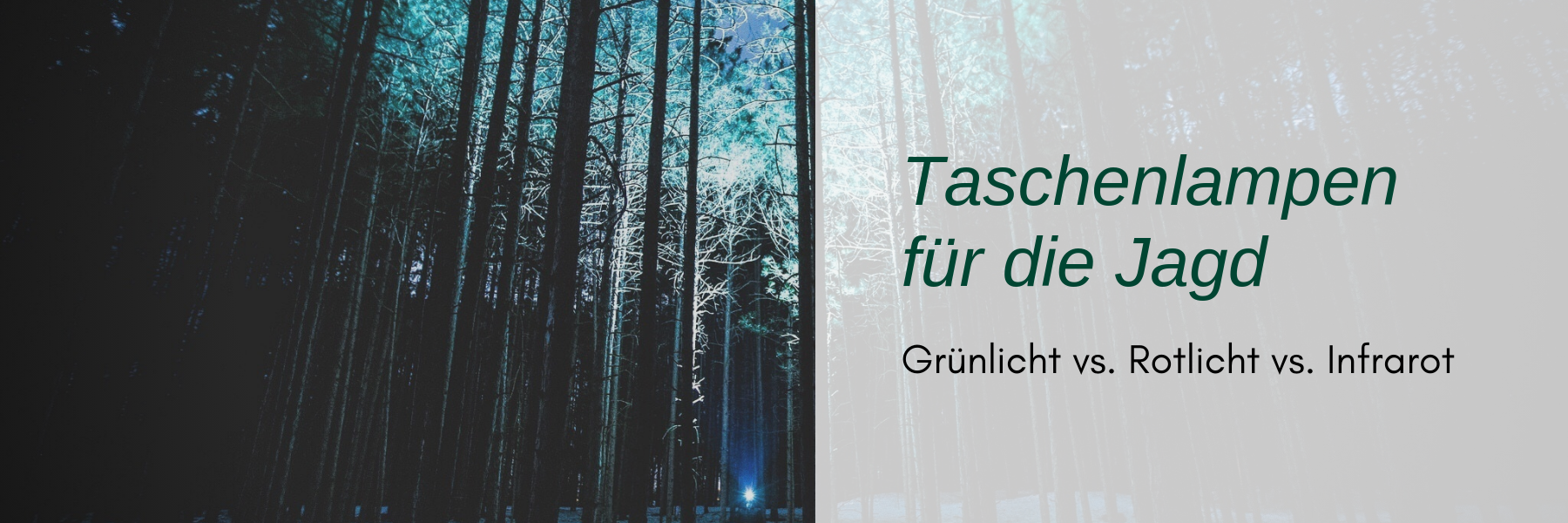 Jagd Taschenlampe - Rotlicht, Grünlicht, Infrarot