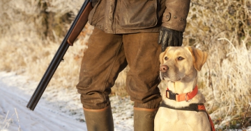Jagdhund GPS Tracker