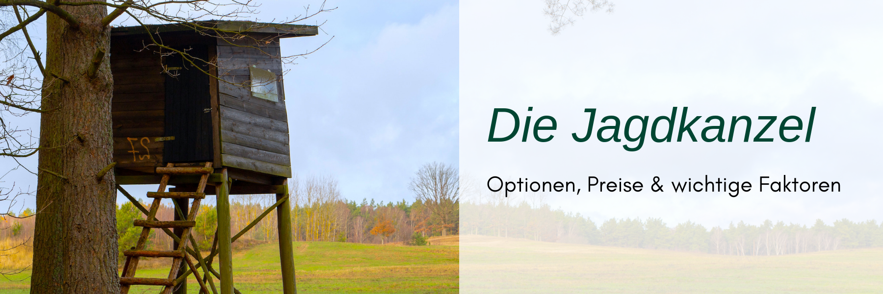 Jagdkanzel kaufen - Optionen, Preise & wichtige Faktoren