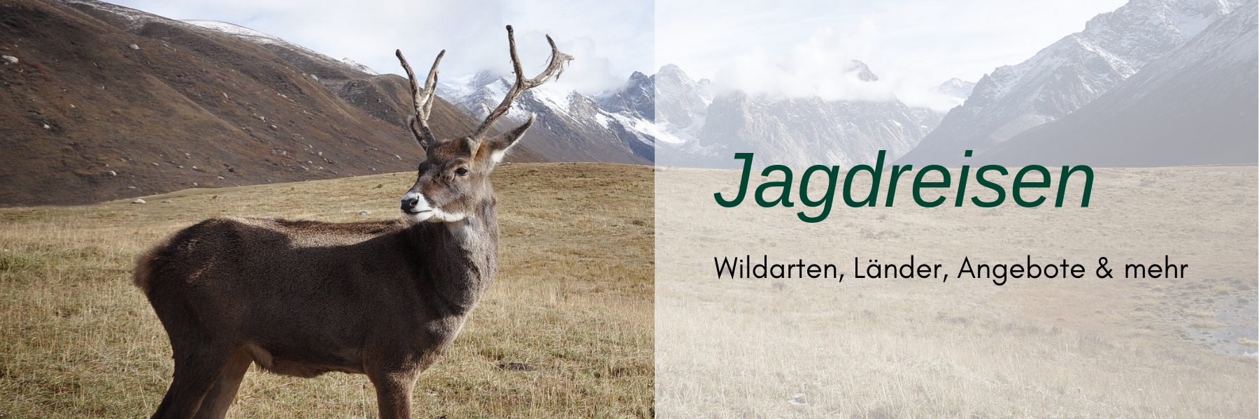 Jagdreisen
