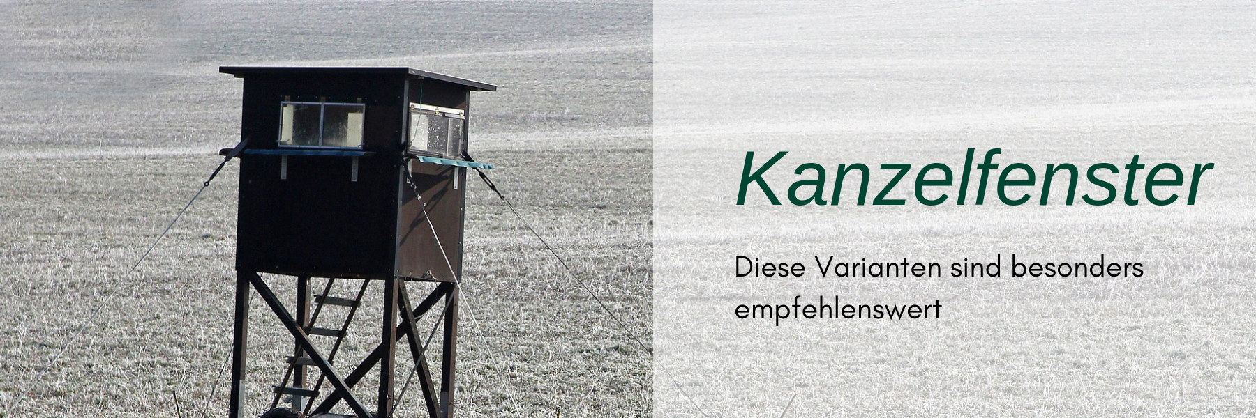 Kanzelfenster Kaufen Diese Varianten Sind Besonders Empfehlenswert Jagdjunger