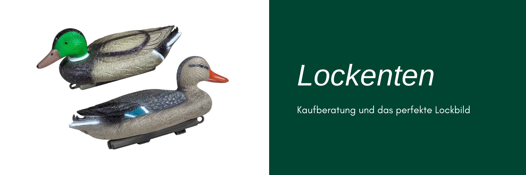 Lockenten - Kaufberatung & das perfekte Lockbild