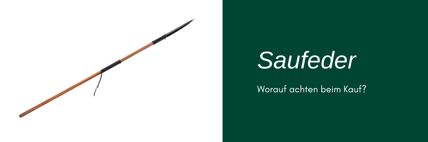 Saufeder kaufen - worauf man beim Kauf achten sollte
