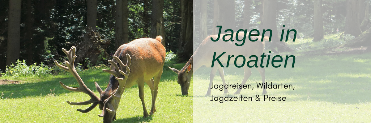 Jagdreise Kroatien