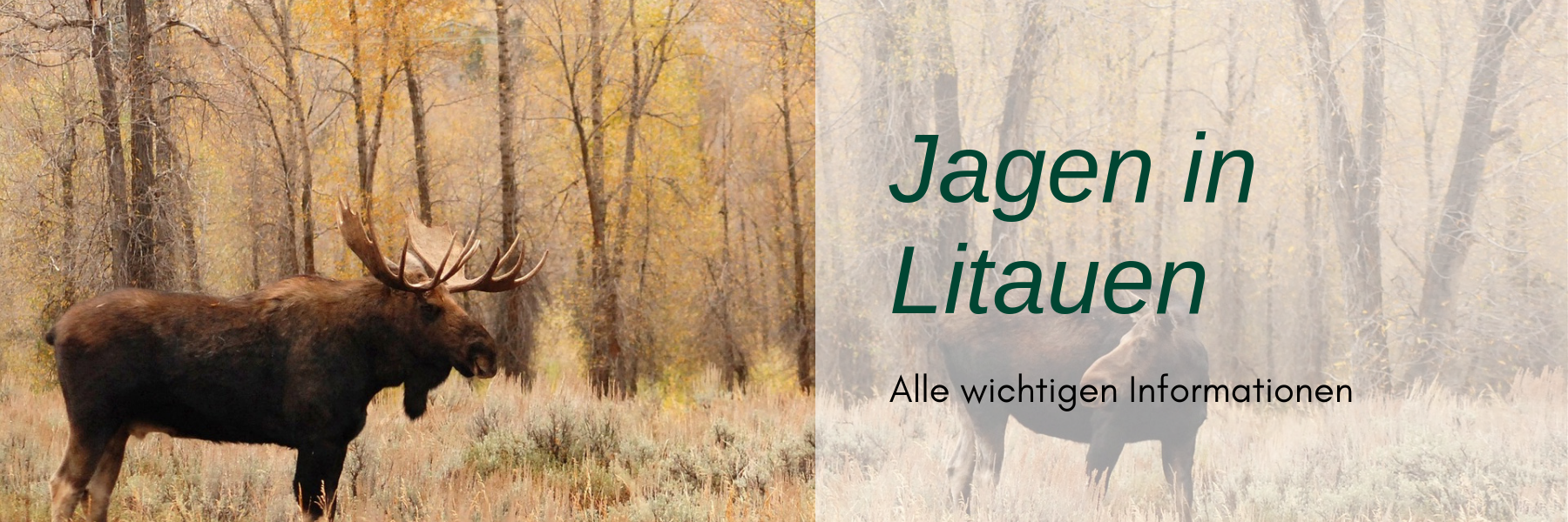 Jagdreise Litauen