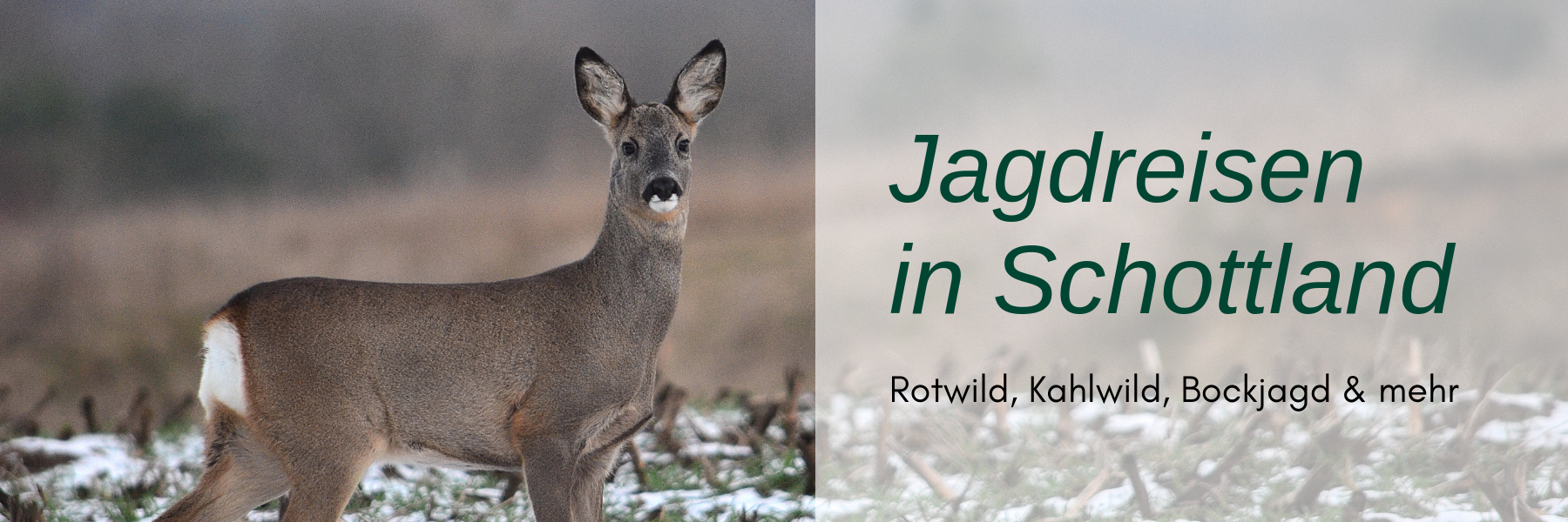 Jagdreise Schottland