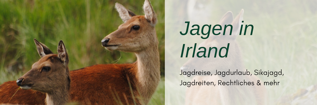 Jagdreise Irland