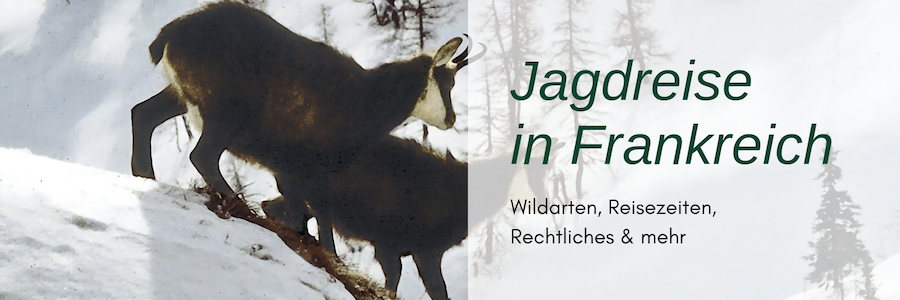 Jagdreise Frankreich