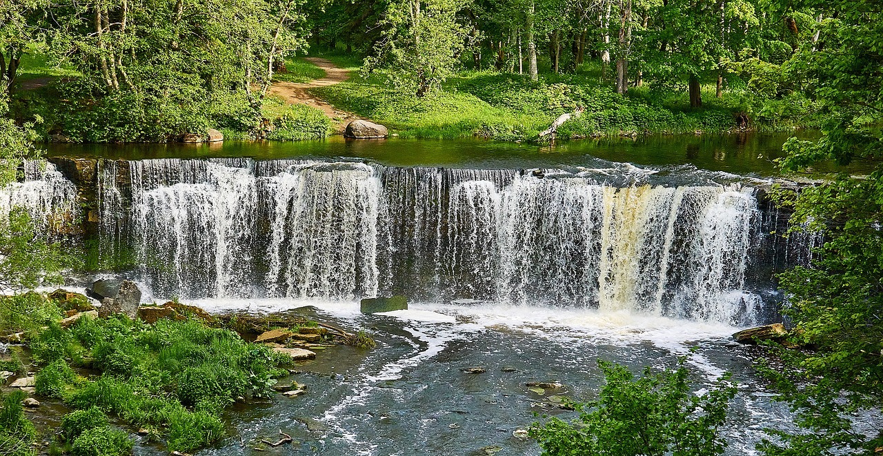 Jagen in Estland - Die Natur ist von einladender Schönheit