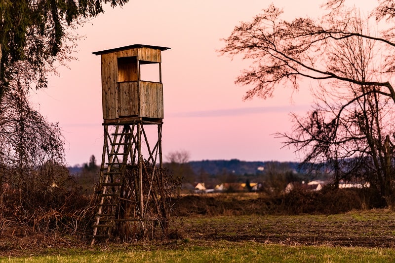 Jagdkanzel kaufen und Erfolg auf der Jagd haben-min