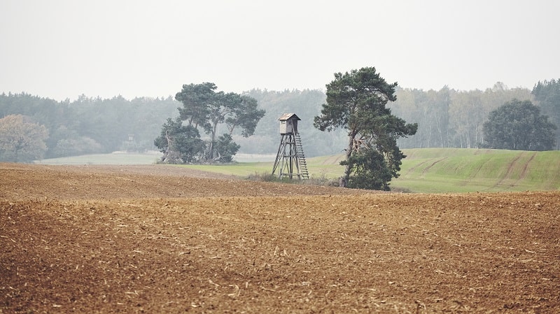 Hohe geschlossene Kanzel mit Dach