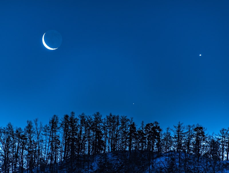 Mit einem guten Wärmebild Vorsatzgerät braucht man keinen Mond mehr