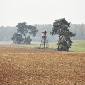 Hochsitz kaufen – Angebote, Variationen, Montage und Lieferung