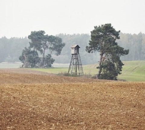 Hochsitz kaufen – Angebote, Variationen, Montage und Lieferung