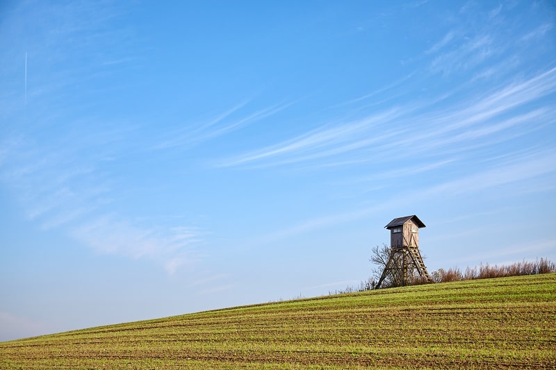 Ist keine bruchtgerechte Holzart in der Nähe nimmt man eine Alternative