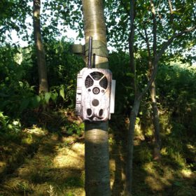 Blazevideo Wildkamera Wlan A350W 