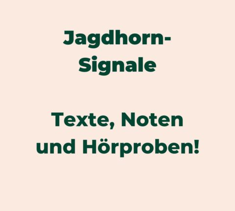 Jagdhornsignale – Sound, Noten und Texte