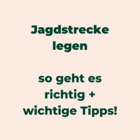 Strecke legen nach der Jagd – so geht es richtig