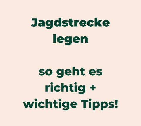 Strecke legen nach der Jagd – so geht es richtig