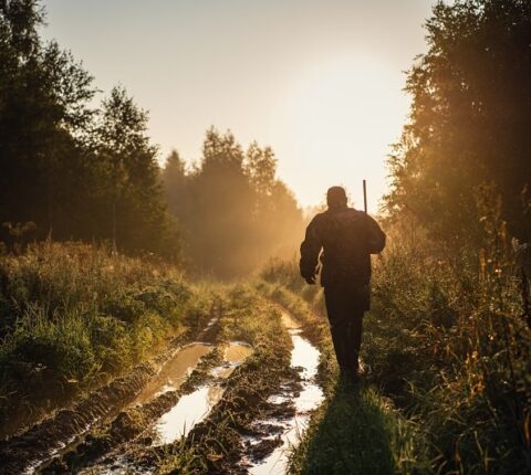 Wildfolgevereinbarung – Vordruck/Muster, Tipps und Gesetze