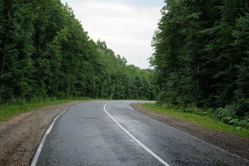 Das Teletakt stoppt Hunde vor der Straße