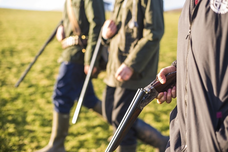 Auf der Niederwildjagd sind gute Vorstehhunde unerlässlich-min