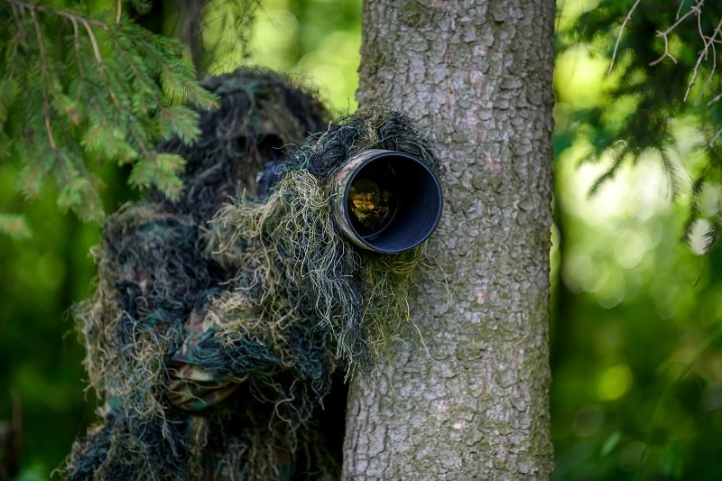 Tierfotograf im Ghillie Anzug stellt Wild nach