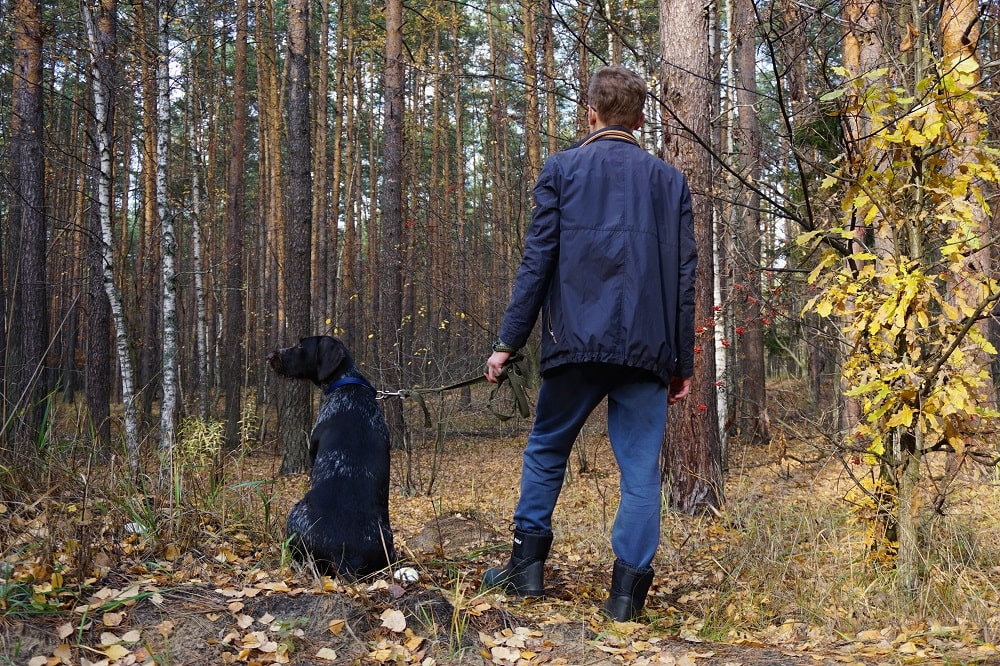 Während der Brut- Setz und Aufzuchtzeit gehören Hunde in Freien Landschaften an die Leine