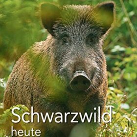 Schwarzwild heute: Lebensweise · Bejagung · Verwertung · Wildschäden (BLV Jagdpraxis)