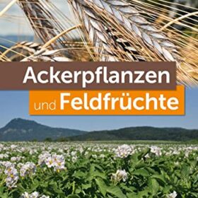 Ackerpflanzen und Feldfrüchte von Margot und Roland Spohn