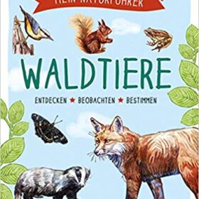 Naturführer – Waldtiere: Beobachten · verstehen · schützen
