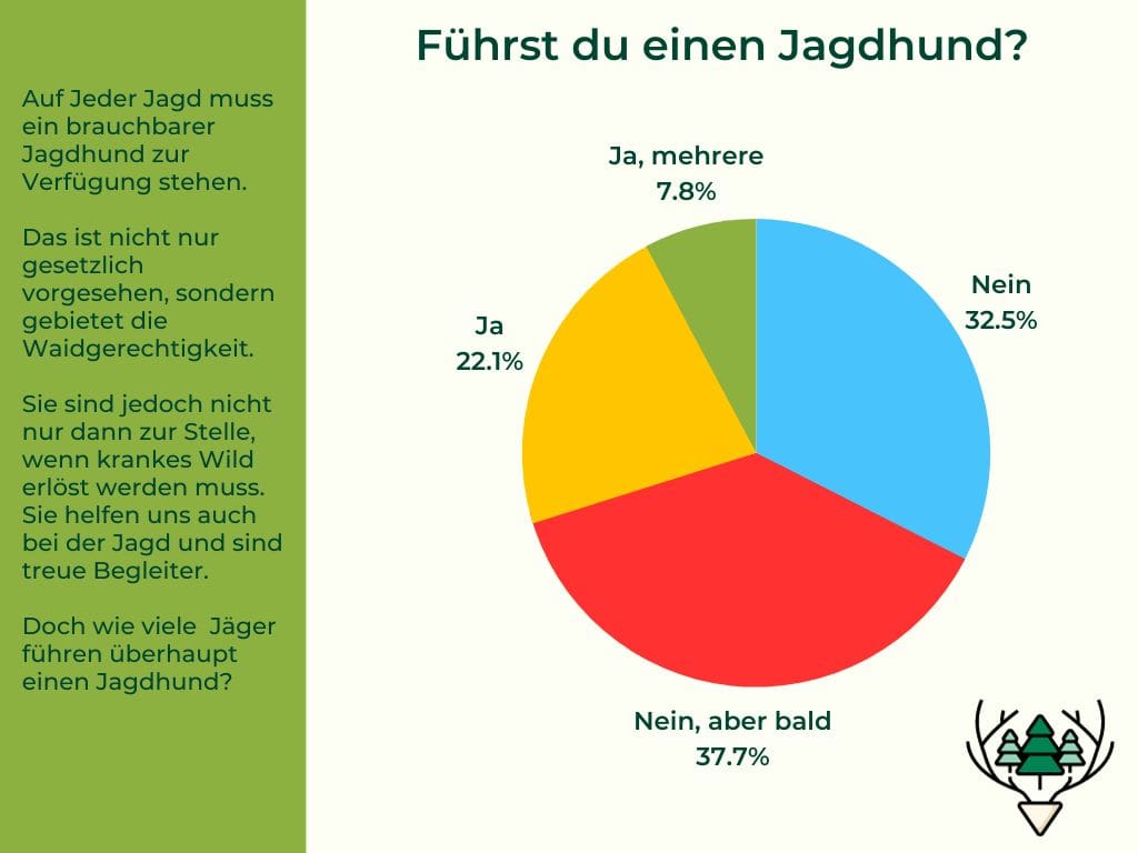 Führst du einen Jagdhund-min