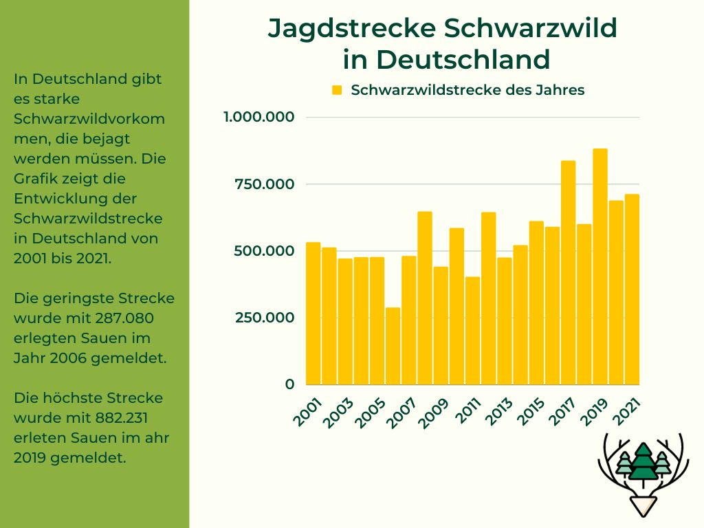 Schwarzwildstrecke Deutschland(1)