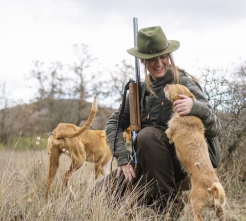 Englische Jagdhunde – Geschichte, Rassen und Besonderheiten