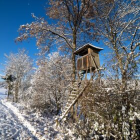 Handwärmer Jagd – Für Winteransitz und Drückjagd