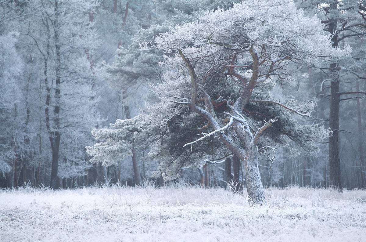 Jagd Handwärmer für den Winter