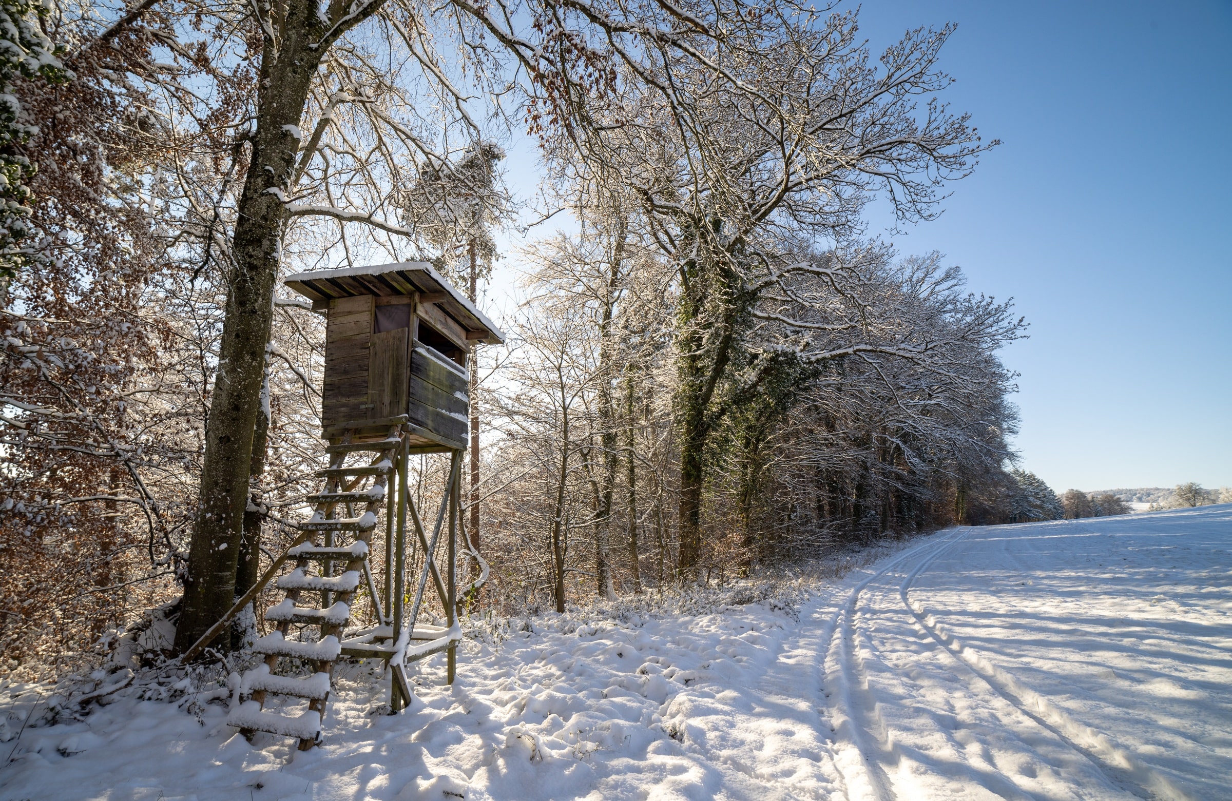 Hochsitz im Winter - bequem für Schützen auf der Drückjjagd