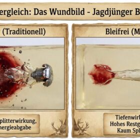 Bleifrei vs. Blei: Der Tiefgang für Jäger (2026 Guide)